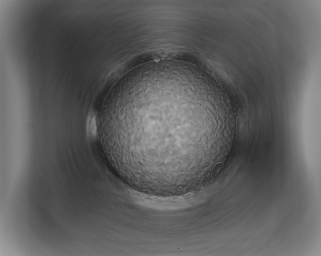 X0000113060042200909041046