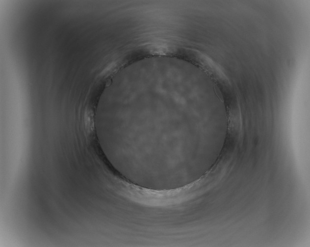 X0000113060043200909041046