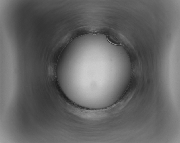 X0000113060044200909041046