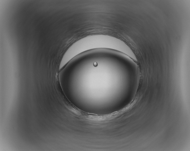 X0000113060045200909041046