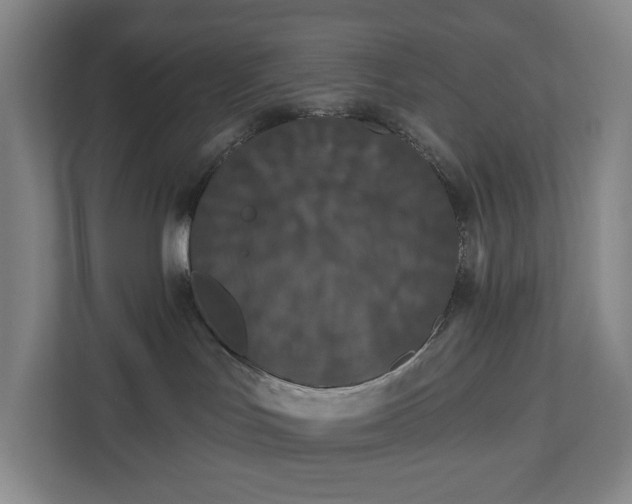 X0000113060047200909041046
