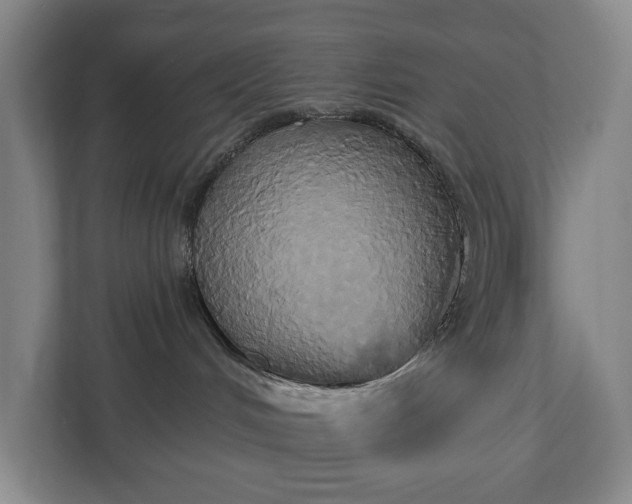 X0000113060048200909041046
