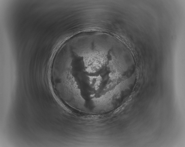 X0000113060049200909041046