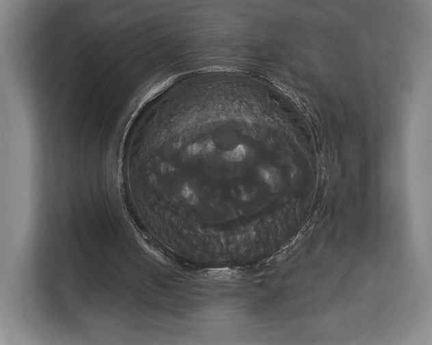X0000113060050200909041046