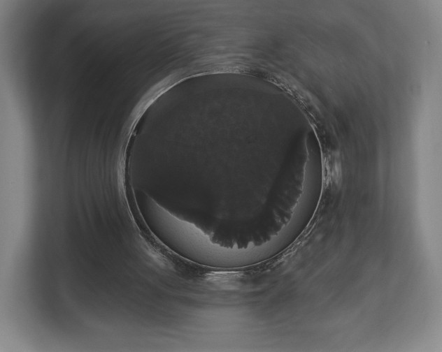 X0000113060051200909041046