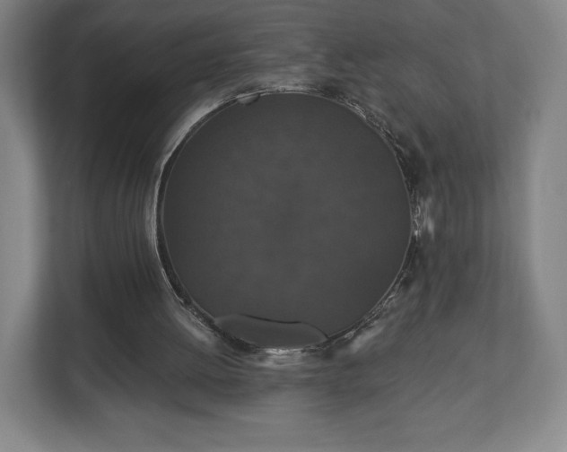 X0000113060052200909041046