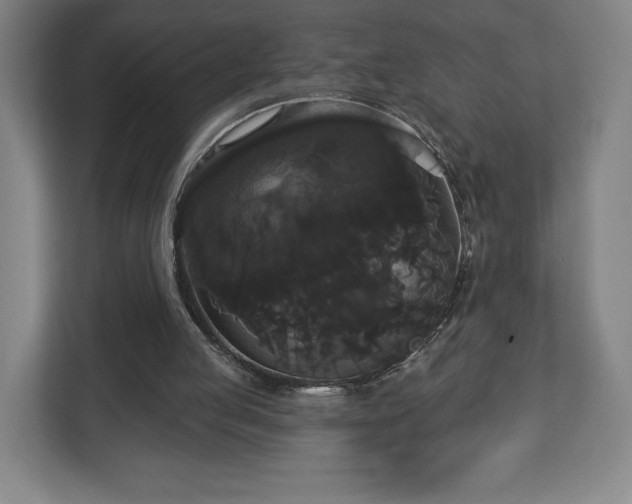 X0000113060053200909041046