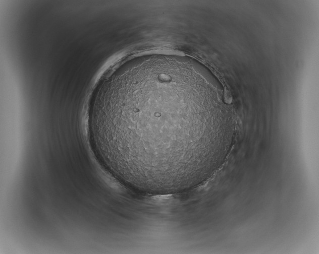 X0000113060054200909041046
