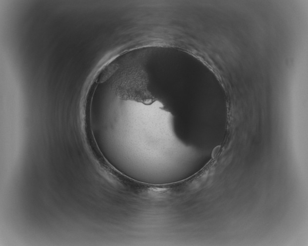 X0000113060055200909041046