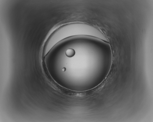X0000113060056200909041046