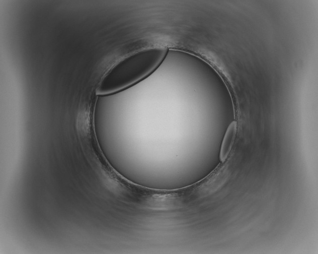 X0000113060057200909041046
