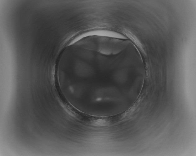 X0000113060058200909041046