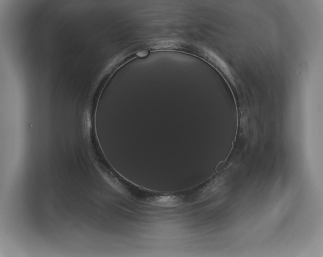 X0000113060059200909041046