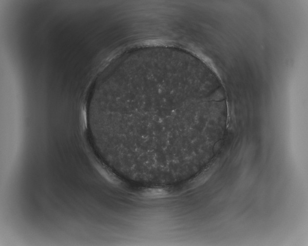 X0000113060061200909041046