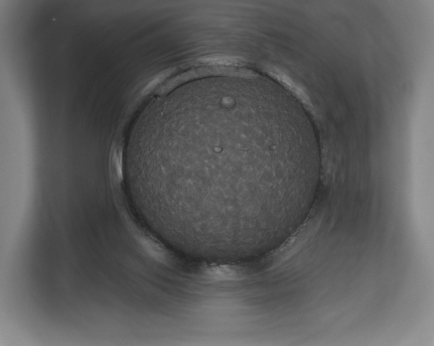 X0000113060062200909041046