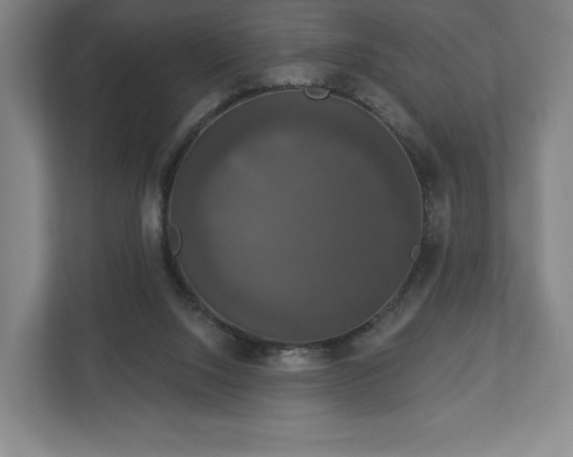 X0000113060064200909041046