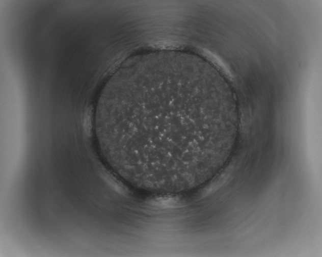 X0000113060065200909041046