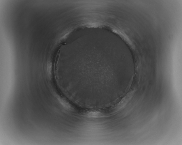 X0000113060066200909041046