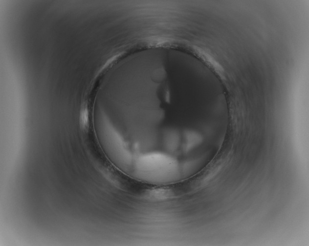 X0000113060067200909041046