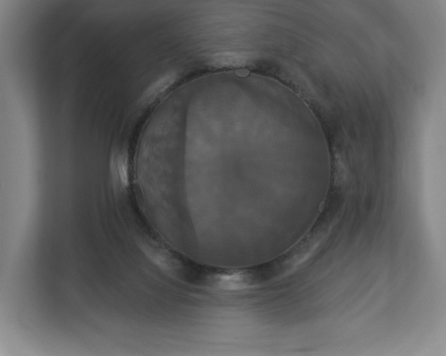 X0000113060068200909041046