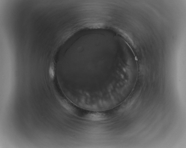 X0000113060069200909041046