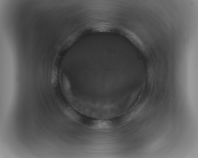 X0000113060073200909041046