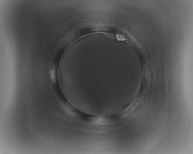X0000113060074200909041046