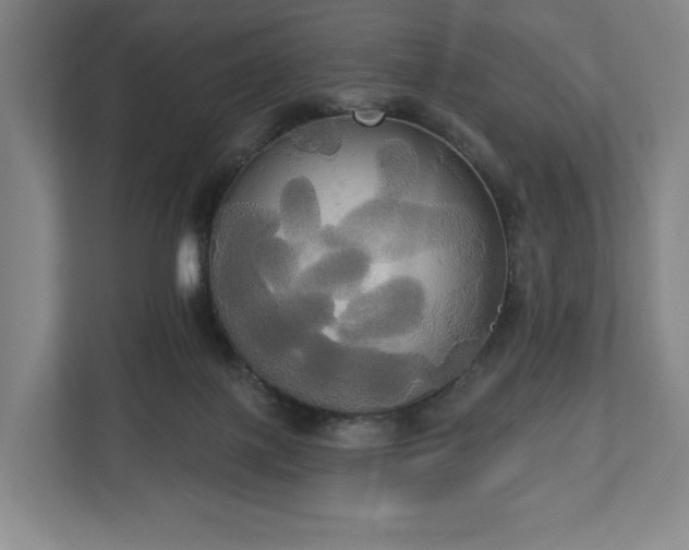 X0000113060075200909041046