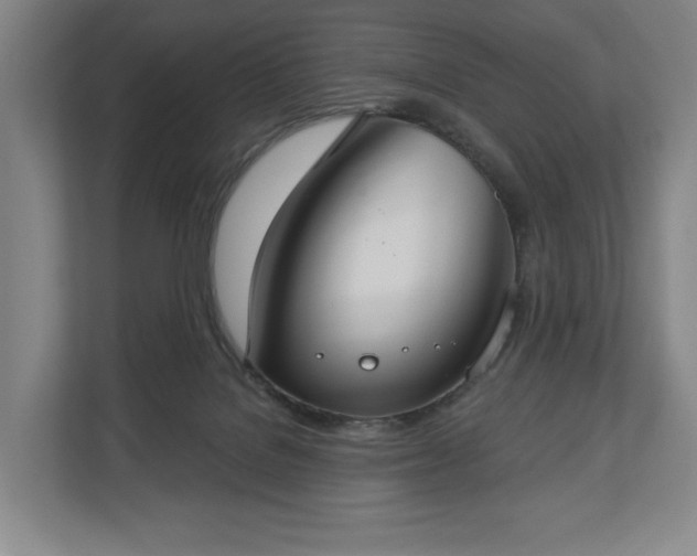 X0000113060076200909041046