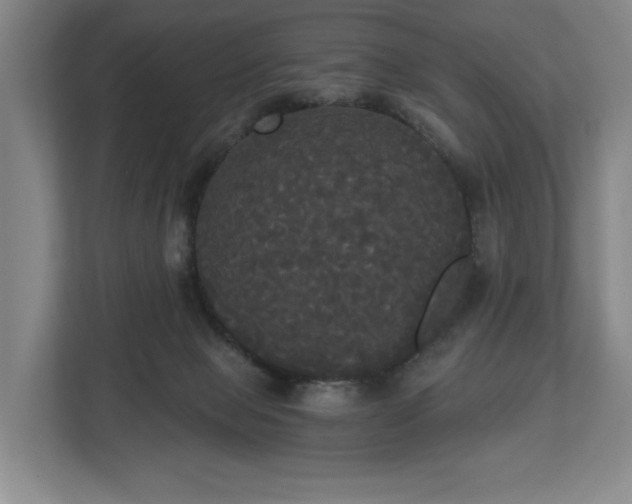 X0000113060077200909041046