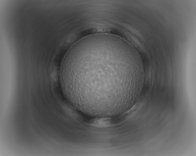 X0000113060078200909041046