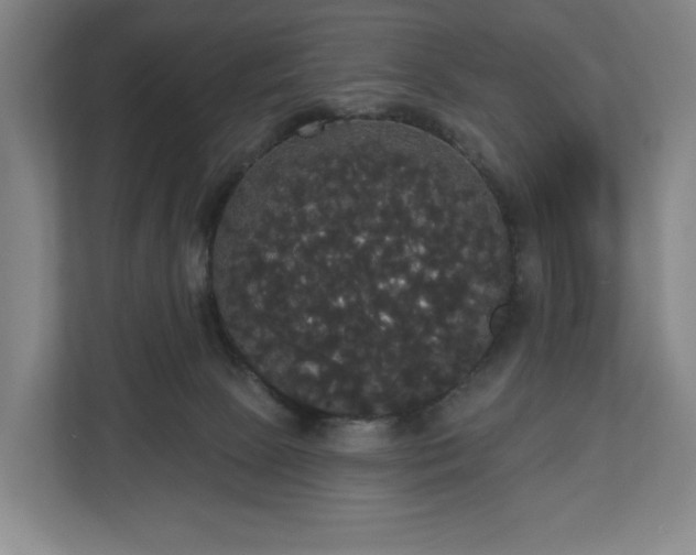 X0000113060081200909041046