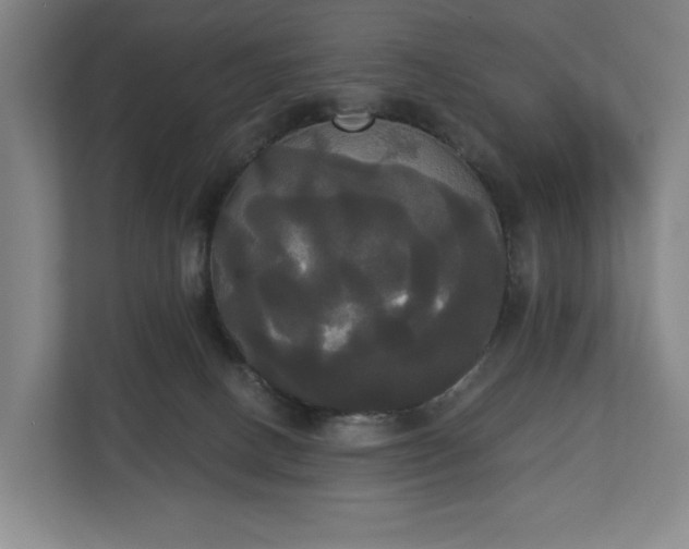 X0000113060082200909041046