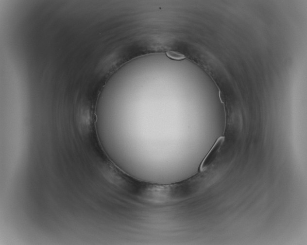 X0000113060084200909041046