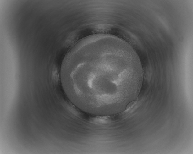 X0000113060086200909041046