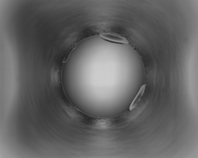 X0000113060088200909041046