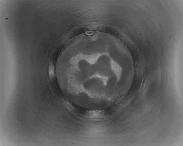 X0000113060089200909041046