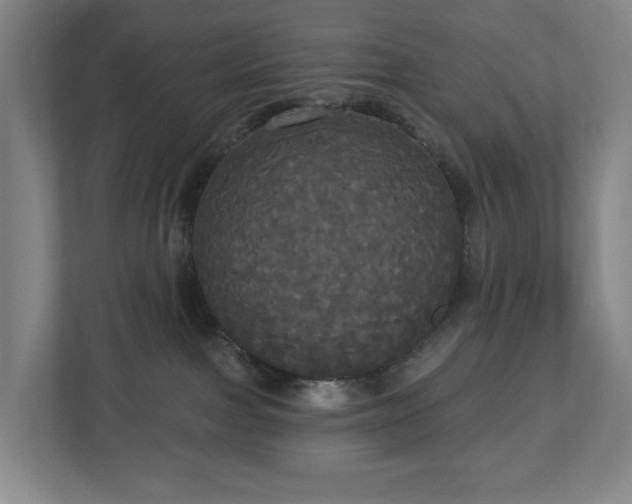 X0000113060091200909041046
