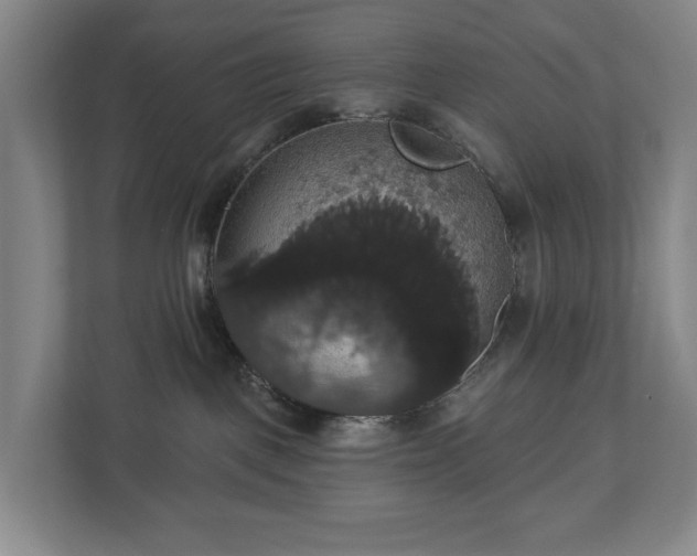 X0000113060093200909041046