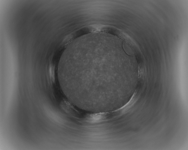 X0000113060094200909041046