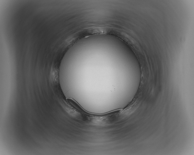 X0000113060096200909041046