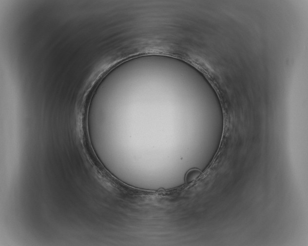 X0000113060098200909041046