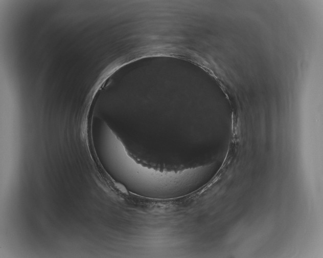 X0000113060099200909041046