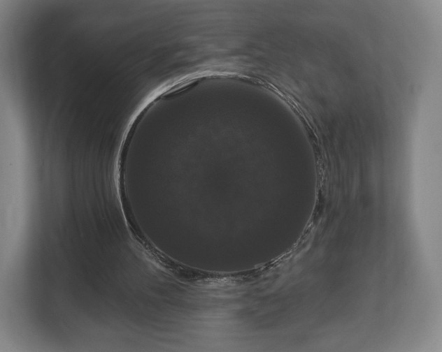 X0000113060100200909041046