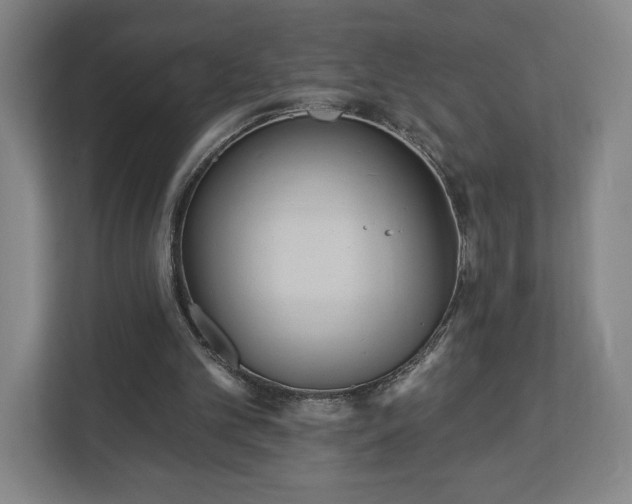 X0000113060101200909041046
