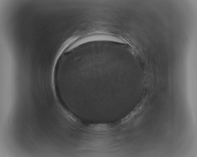 X0000113060104200909041046