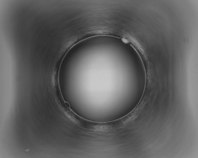 X0000113060105200909041046