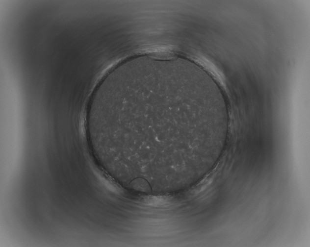 X0000113060107200909041046