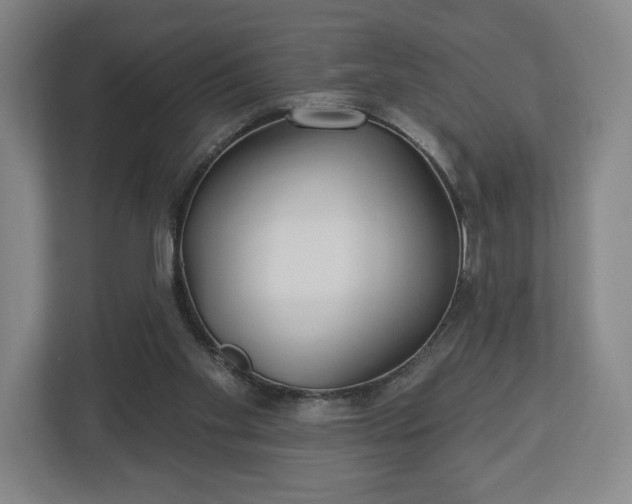 X0000113060109200909041046