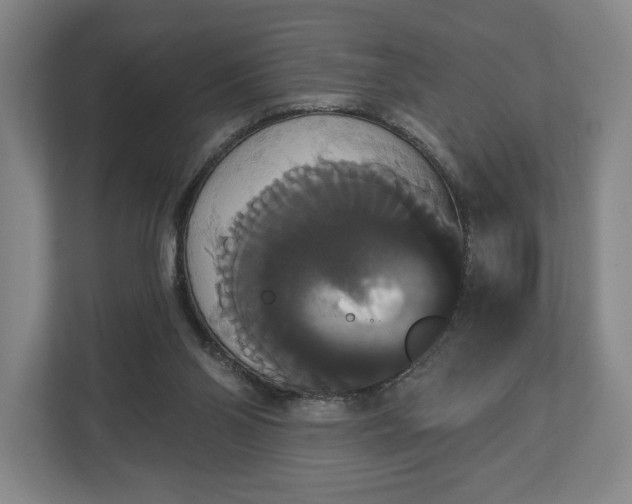 X0000113060110200909041046